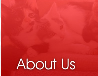 About Rms Vetinary Tables