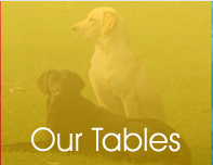Our Vet Tables